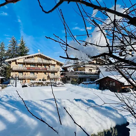 Hotel Au Vieux Moulin 3*